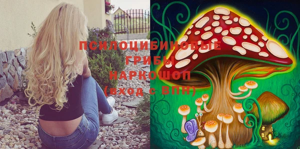 спиды Аркадак