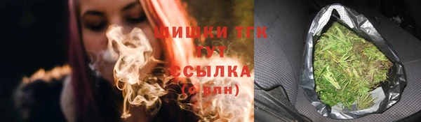 прущий лед Арсеньев