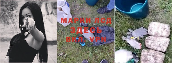 трава Армянск
