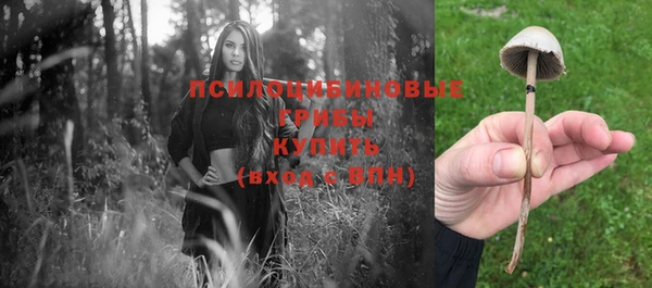 спиды Аркадак