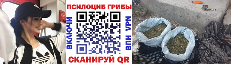 Псилоцибиновые грибы ЛСД мега сайт Узловая